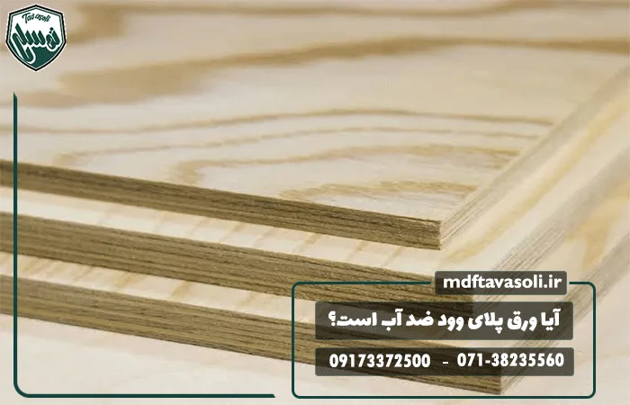 آیا ورق پلای وود ضد آب است؟ بررسی مقاومت پلای وود در برابر آب و رطوبت
